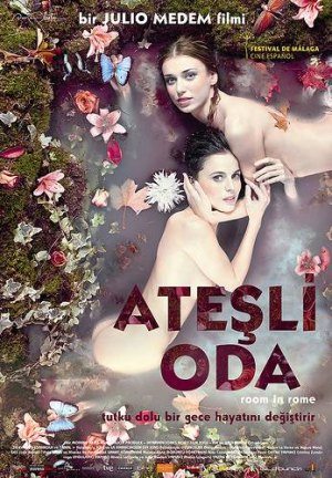 Ateşli Oda izle