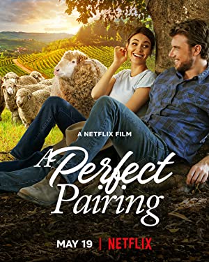 Kusursuz Uyum – A Perfect Pairing izle
