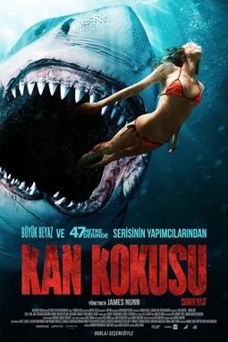Kan Kokusu – Shark Bait