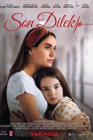 Son Dilek